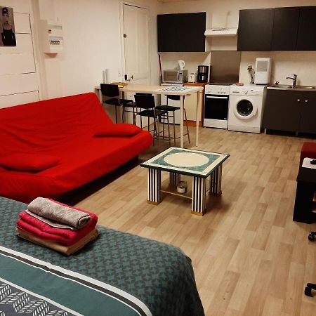 Studio 35M2 Terrasse Et Jardin Quartier Calme Au Centre Ville De ルルド エクステリア 写真